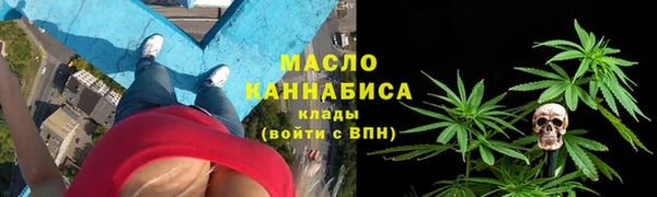 мяу мяу мука Гусь-Хрустальный