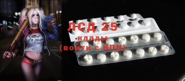 гашик Гусев