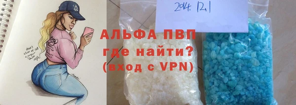 гашик Гусев