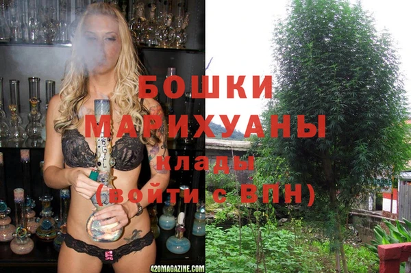 гашик Гусев