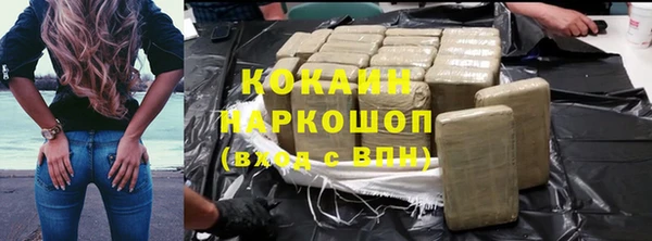 гашик Гусев